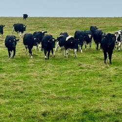 Hier geht es besser nicht durch😂