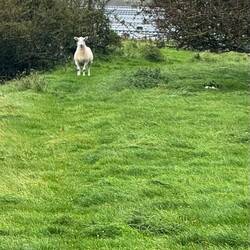 Was guckst du? 😂