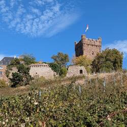 Burg Klopp