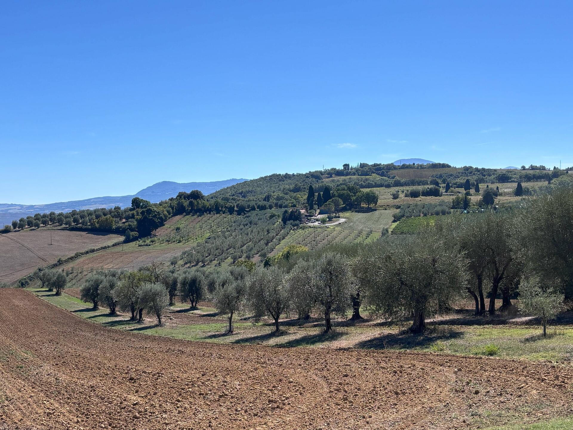 Val d'Orcia