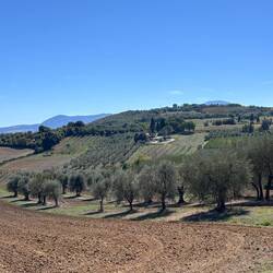 Val d'Orcia
