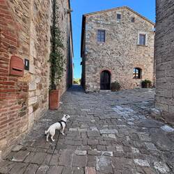 Chiesa di San Bisgio