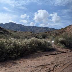 Drive up to the Fairy Tale canyon was on soft sand