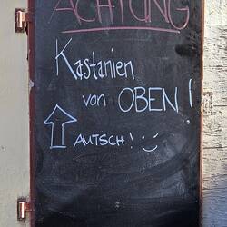 Darum immer schön mit Helm fahren!