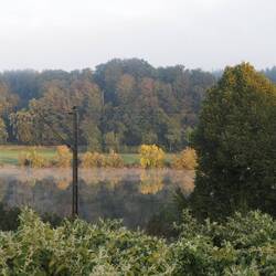 Am Morgen dampft die Donau regelrecht
