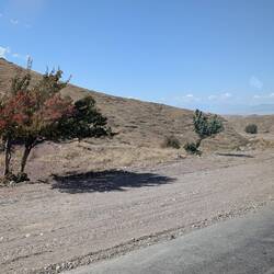 Vast steppes and semi-desert