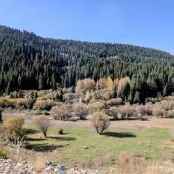Clearly signs of autumn at 2000m