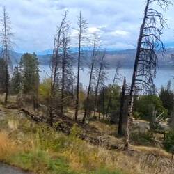 2023 fire destroyed this complex