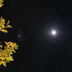 Gute Nacht bei Vollmond❤️
