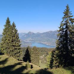 Lungeresee
