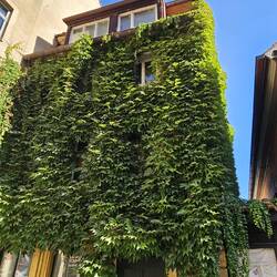 Wo ist hier das Fenster?