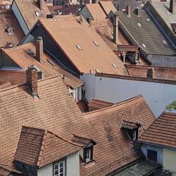 Blick auf Bamberger Dächer vom Rosengarten der Fürstbischöflichen Residenz