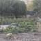 Whoppers!