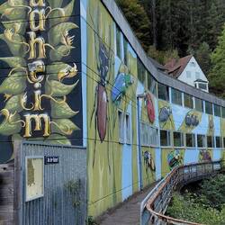 Unser Platz- An der Gutach