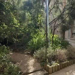 More garden images
