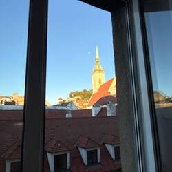 View from my window this morning