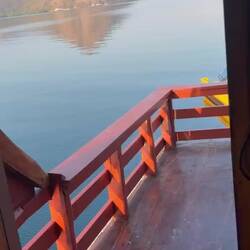 Der Morgen in den Mangroven