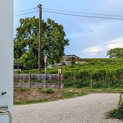 Stellplatz am Weingut