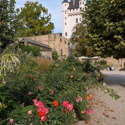 Eltville
