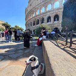 Colosseum