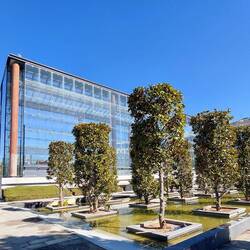 Parc Andre Citroên was quite structured but also with very green lawn areas