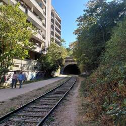 Looking towards the tunnel