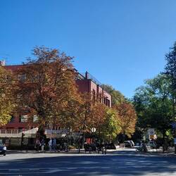 Autumn is not far away