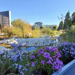 Bright flower gardens along side a created stream