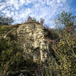 Kalkstein auf dem Geopfad