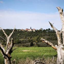 Blick zum Kloster