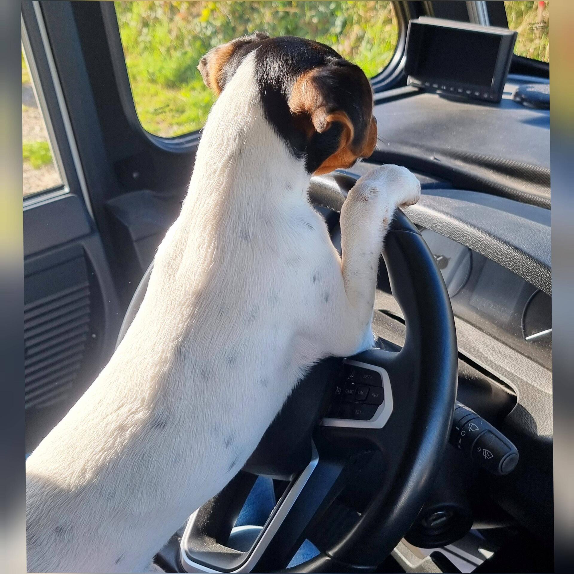 Der neue Fahrer
