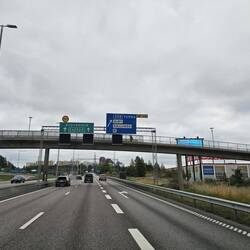Dort kann man viel Holunder sammeln 😜