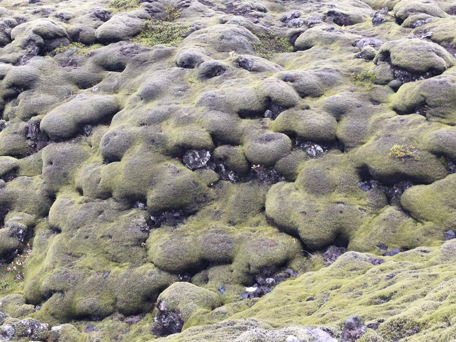 Gönguleið um Eldhraun
