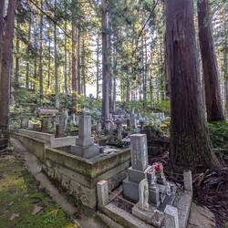 Cemetery in Ceder Forest