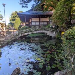 Pond and garden at a Shrine