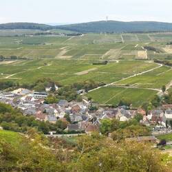Chavignol