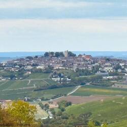 Sancerre