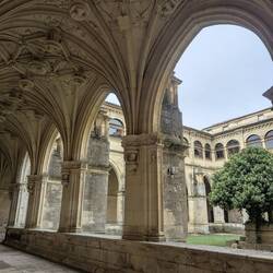 I've come to learn what cloisters are and BIG FAN