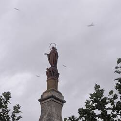 They're birds, not fighter jets