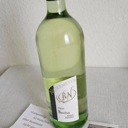 Ein 2025er Bacchus vom Weingut Niemeyer in Stammheim