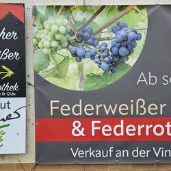 Garstadt - wir erreichen die ersten Winzerdörfer am Main