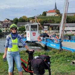 Blick von der linken Mainseite auf Wipfeld, weiter geht's links des Mains nach Volkach