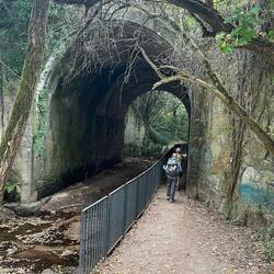 Railway tunnel at the end of the woodland alternative path