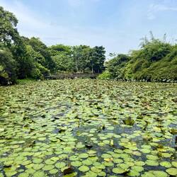 die Kingfisher Wetlands