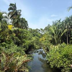 die Kingfisher Wetlands