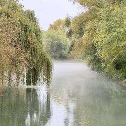 Erster Nebel an der Alme