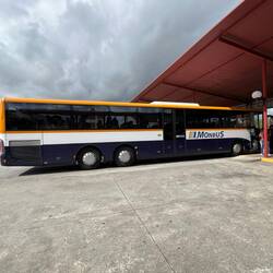 Estación de autobuses, Padrón