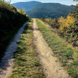 Auf dem Abstieg nach Forbach