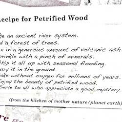 Rezept für die Umwandlung von Holz in Stein 😉