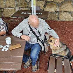 Peter ist auf den Hund gekommen